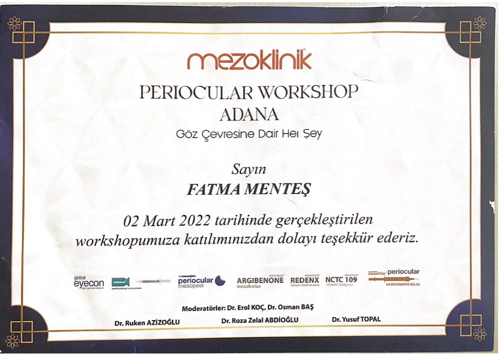 Mezoklinik Workshop Katılım Belgesi