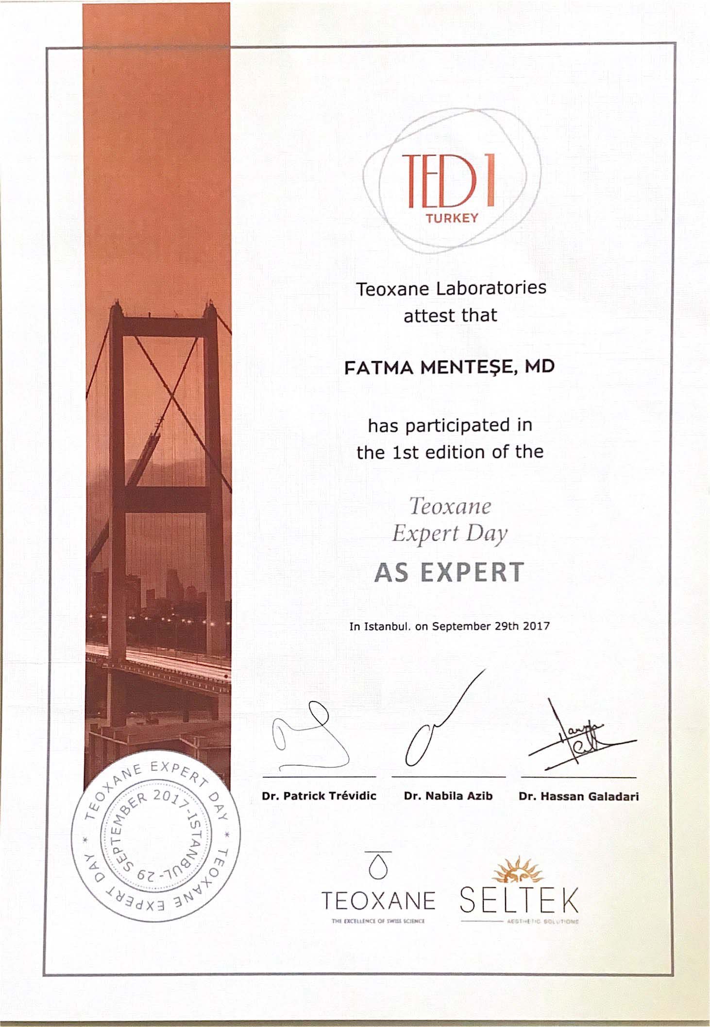 Teoxane Laboratuvar 1.lik Sertifikası