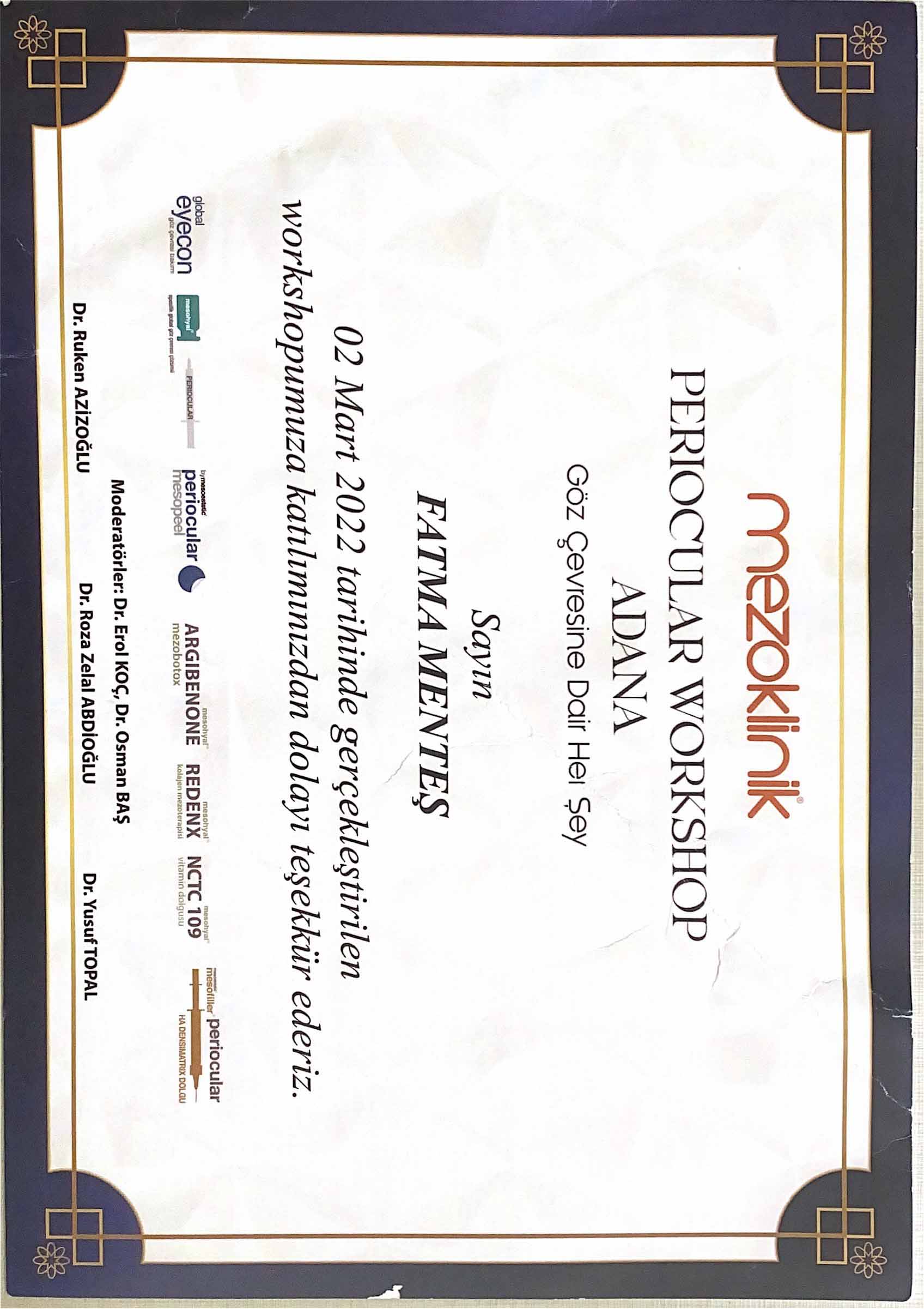 Mezoklinik Workshop Katılım Belgesi