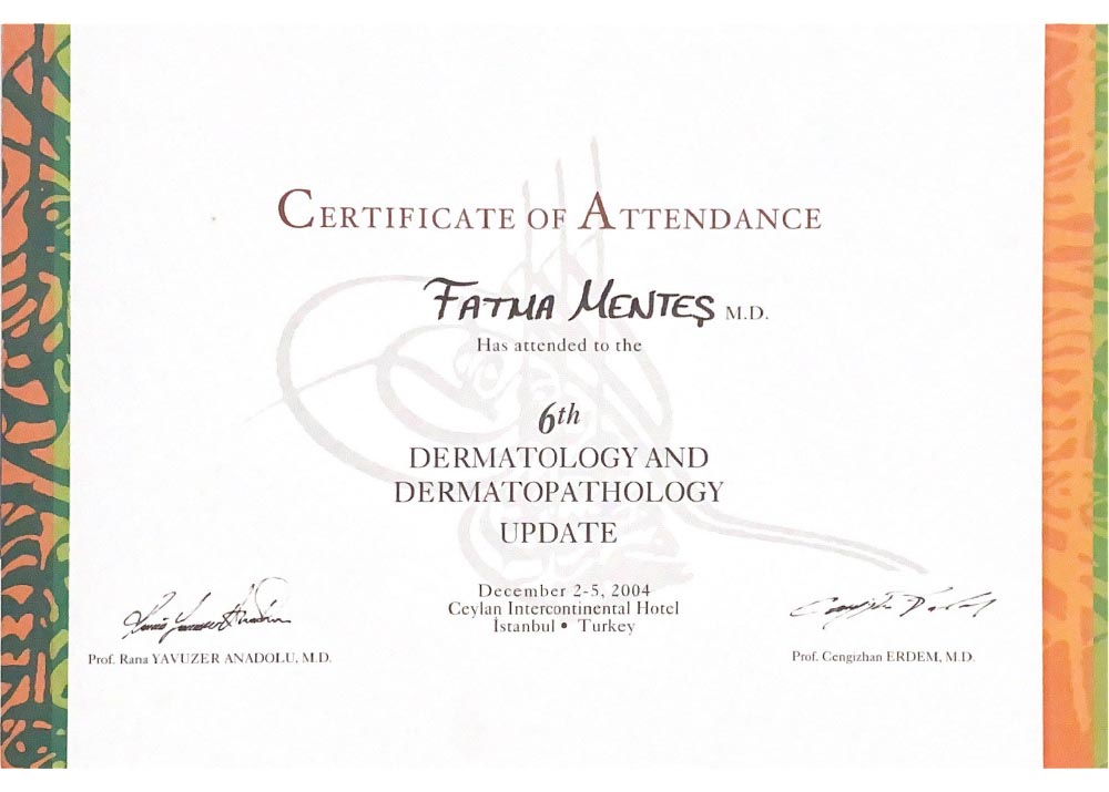 MCL 30 Dermablate Fractional Er:YAG Laser Kursu